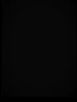 NEW Edit TEMPLATE