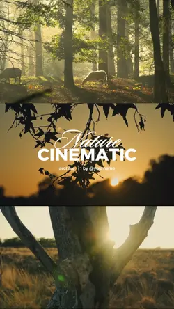 nature cinematic