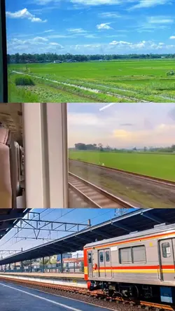 2 pict + 1 vid