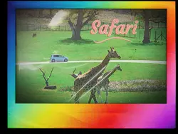 Safari