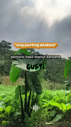 kuotes harian