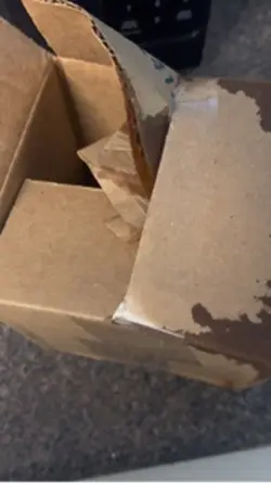 TikTokShop