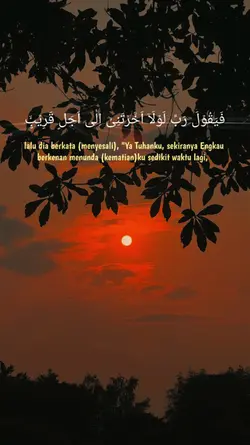 fayakula robbi laula