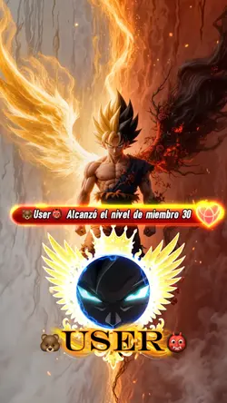 Nivel de mienbro