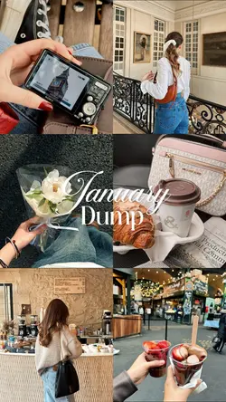 january dump 2025