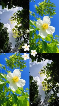natureza