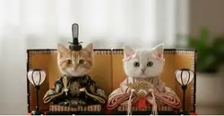 猫ちゃんひな祭り笑顔