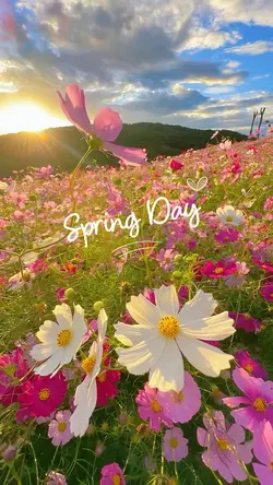 Spring day