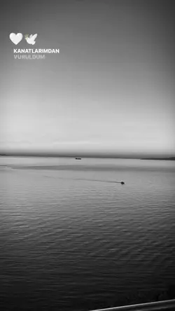 Ahmet Kaya / metris