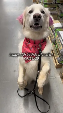 Happy Birthday 🥹🫶