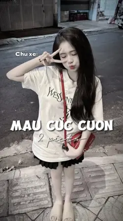 TREND CHỦ XE - XE