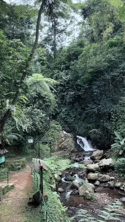 nature, rilex 