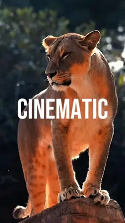 Cinematic Trailer 
