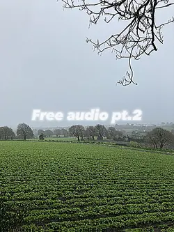 Free audio pt.2