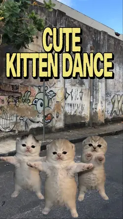 CUTE KITTEN DANCE 