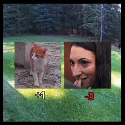 Cat +1 Trend