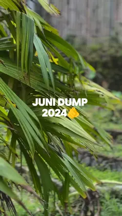 Juni Dump Foto/Video