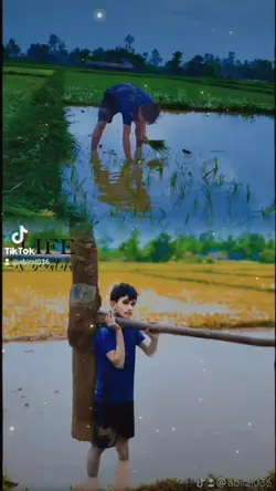 Tharu viral songs 