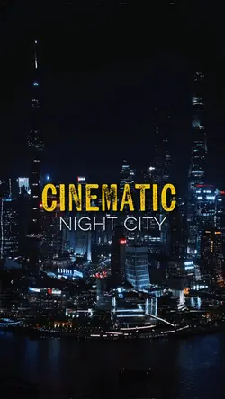Night  City 