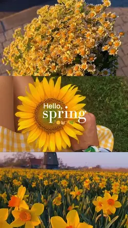 hello spring 2026
