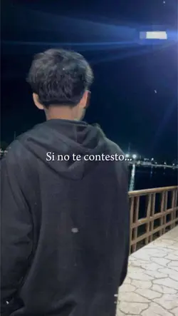 Si no te contesto 