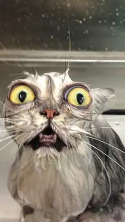 chỉ cần ngồi đâyvớie