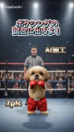 ボクシングの試合に出るよ!