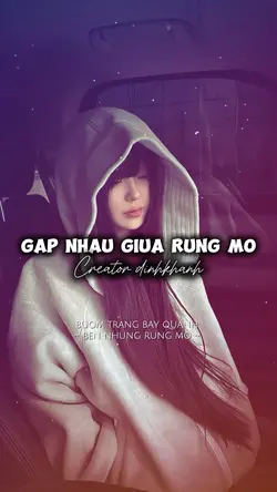 Gặp Nhau Giữa Rừng Ơ