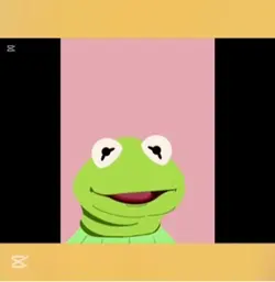Elmo and Kermit 