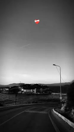 viral şablon 