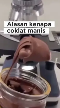 Transisi