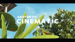 Cinematic Estetik