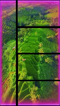 7 clip or photo 