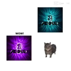 NEW Edit TEMPLATE