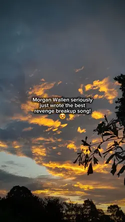 wallennn