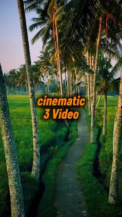 cinematic 3 vid