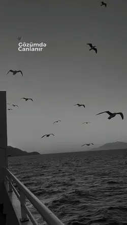 Gözümde Canlanır