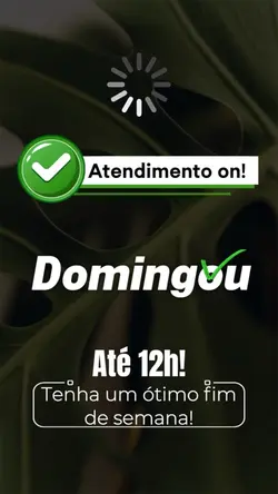 Domingo