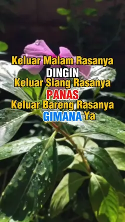 Efek Keluar