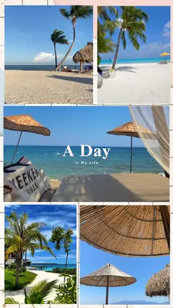 A Day In My Life