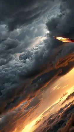 LIVE WALLPAPER 