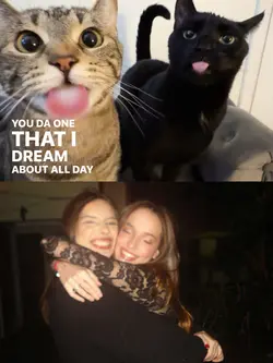 duo cats