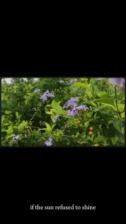 Intro