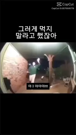 똥 먹기[리메이크]