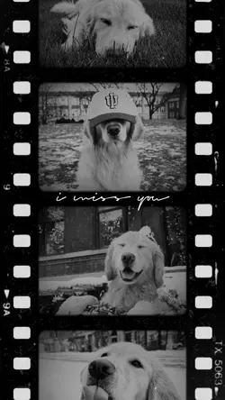 I miss you