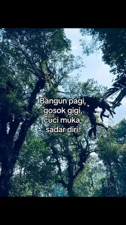bangun pagi 