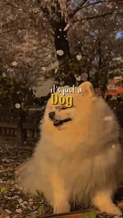 It's Just a dog