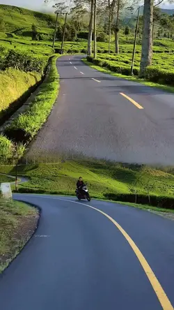 2 video 1 layout 