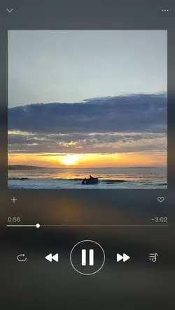 Music Daily