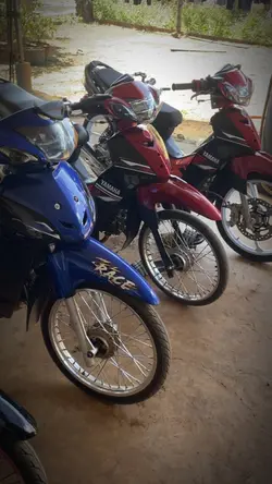 dọn xe ăn tết nào ae